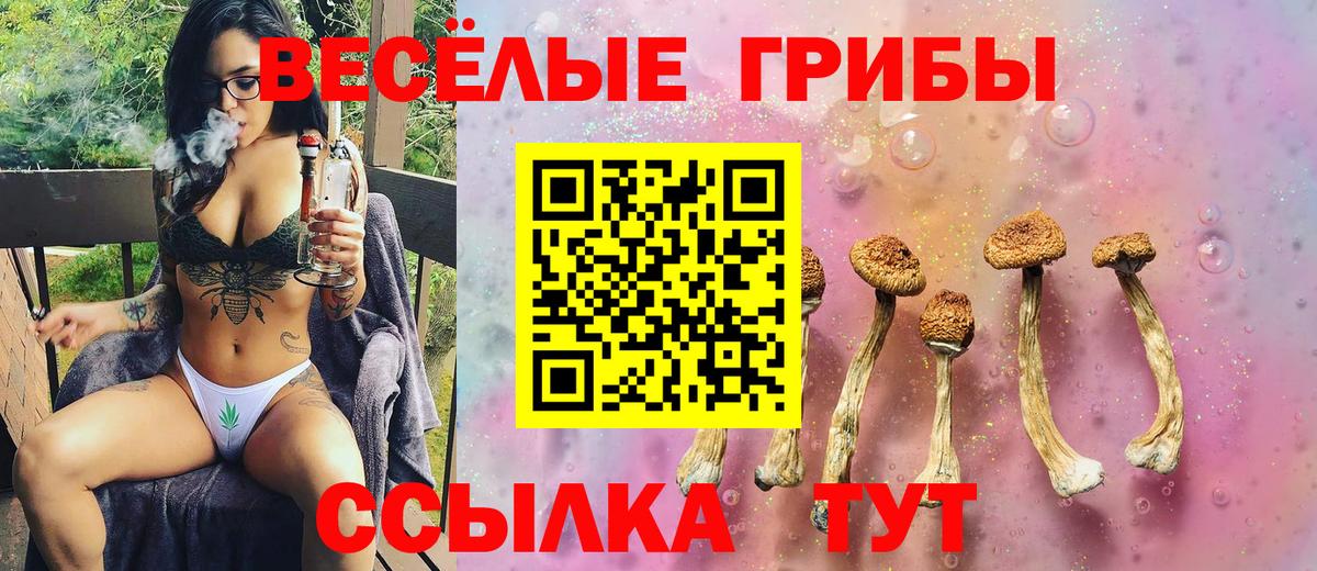 цены   Псилоцибиновые грибы ЛСД  Псилоцибиновые грибы Psilocybe  Вход с VPN  Краснокамск 